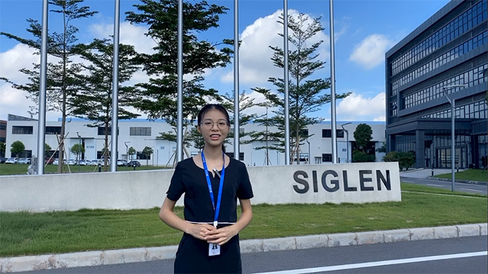 足不出戶看遍辛格林電梯工業園全貌