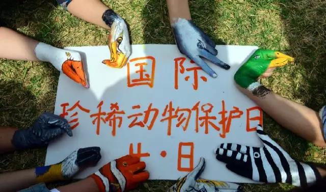 國際珍稀動物保護日 國際珍稀動物保護日
