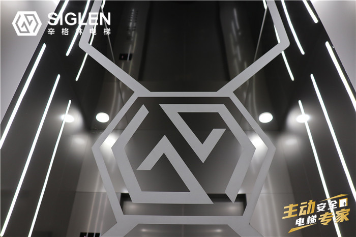 廣東小型別墅電梯 廣東小型別墅電梯