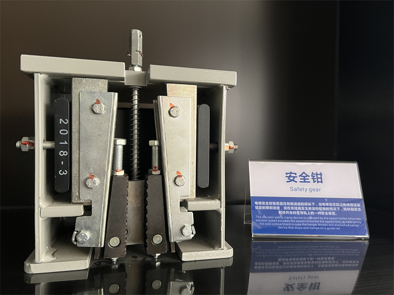 IMG_9681.jpg IMG_9681.jpg