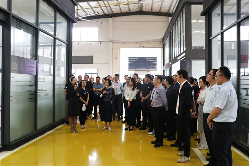 IMG_4545.jpg IMG_4545.jpg